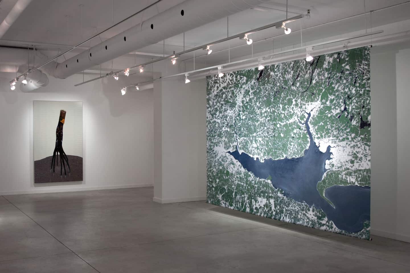 Alex Fischer, LEFT: Mangrove Down, 2013. RIGHT:  Mouth, 2012 install at Dry Pixels and Wet Molecules, O'Born Contemporary